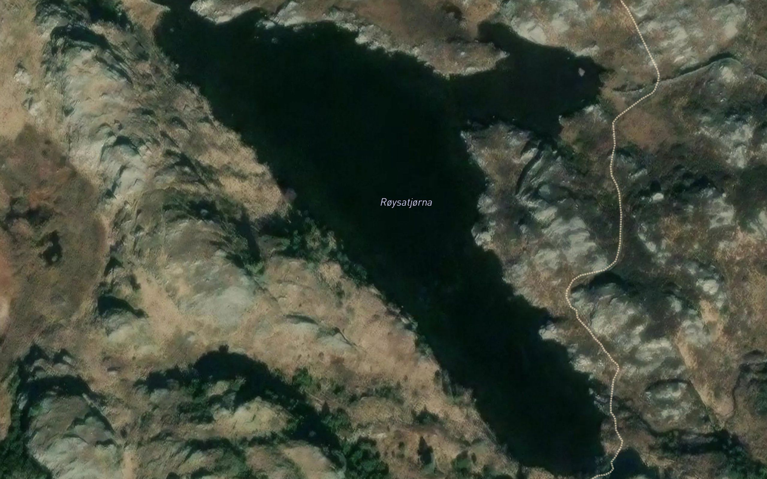 Roystjorna