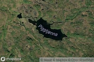 Piggtjorna