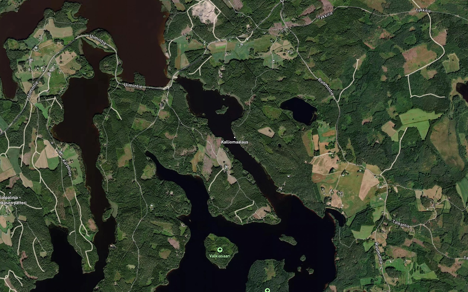 Satellite map of the Ruominkapia