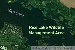 Rice Lake
