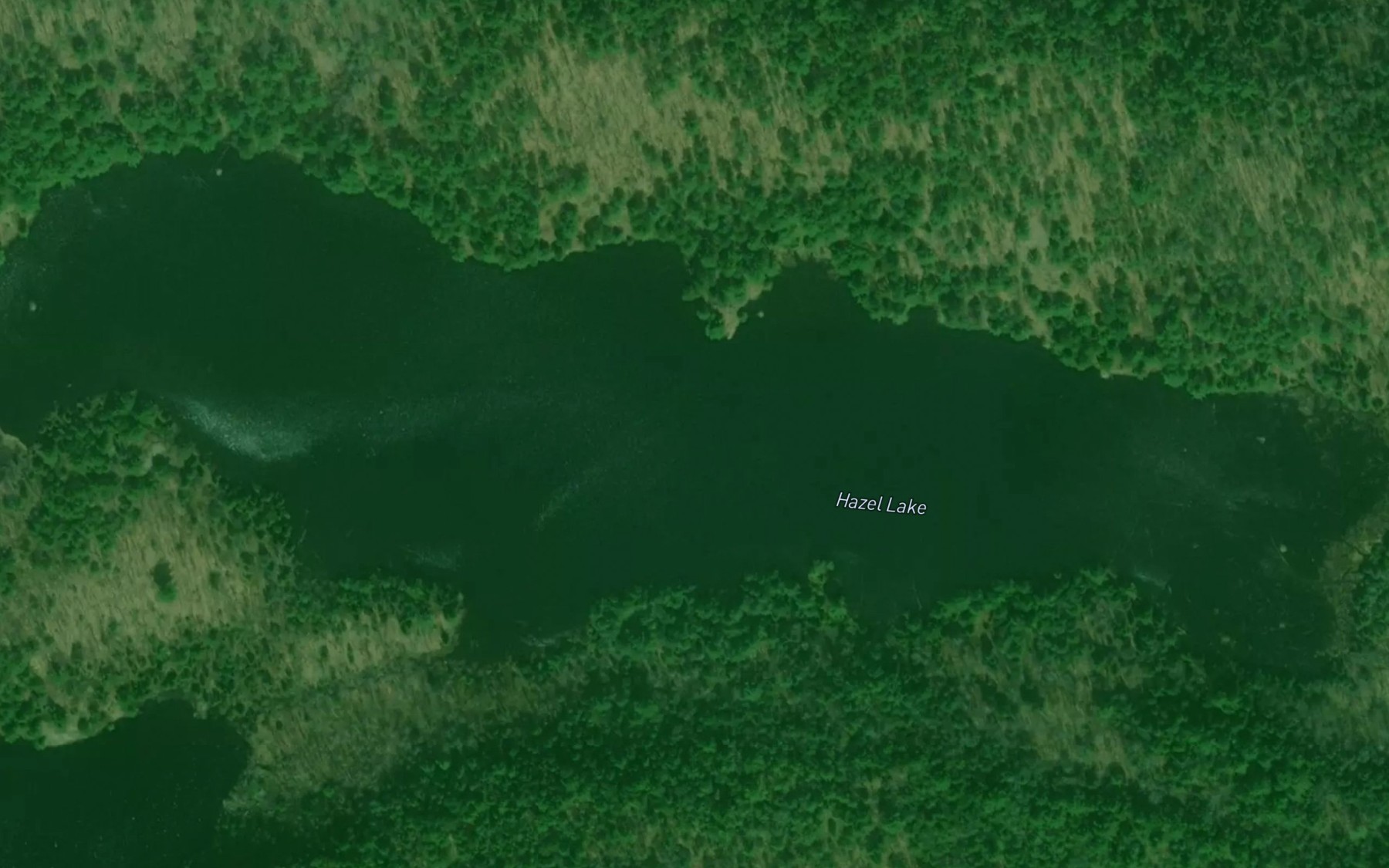 Satellite map of the Hazel Lake
