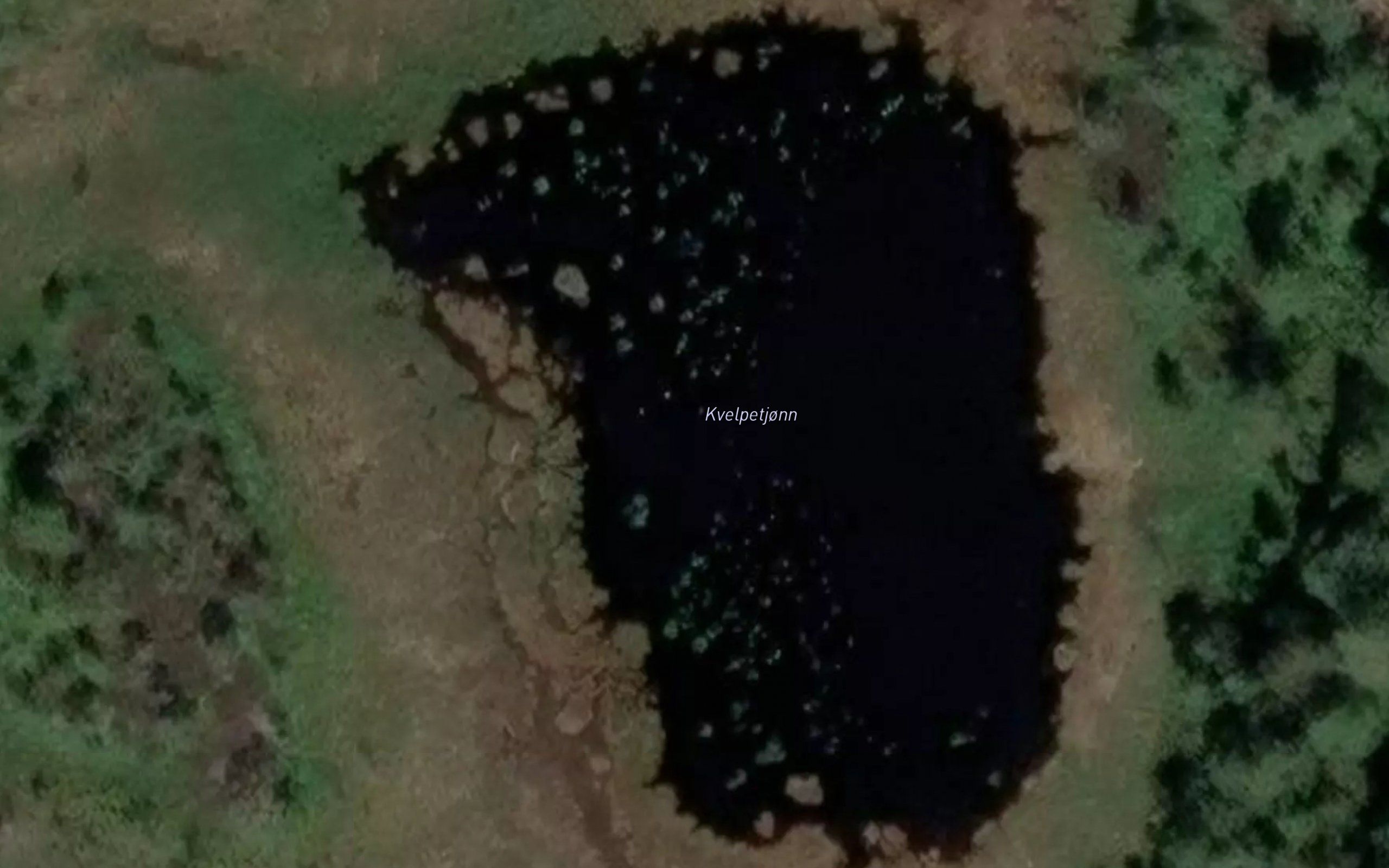 Kvelpetjonn
