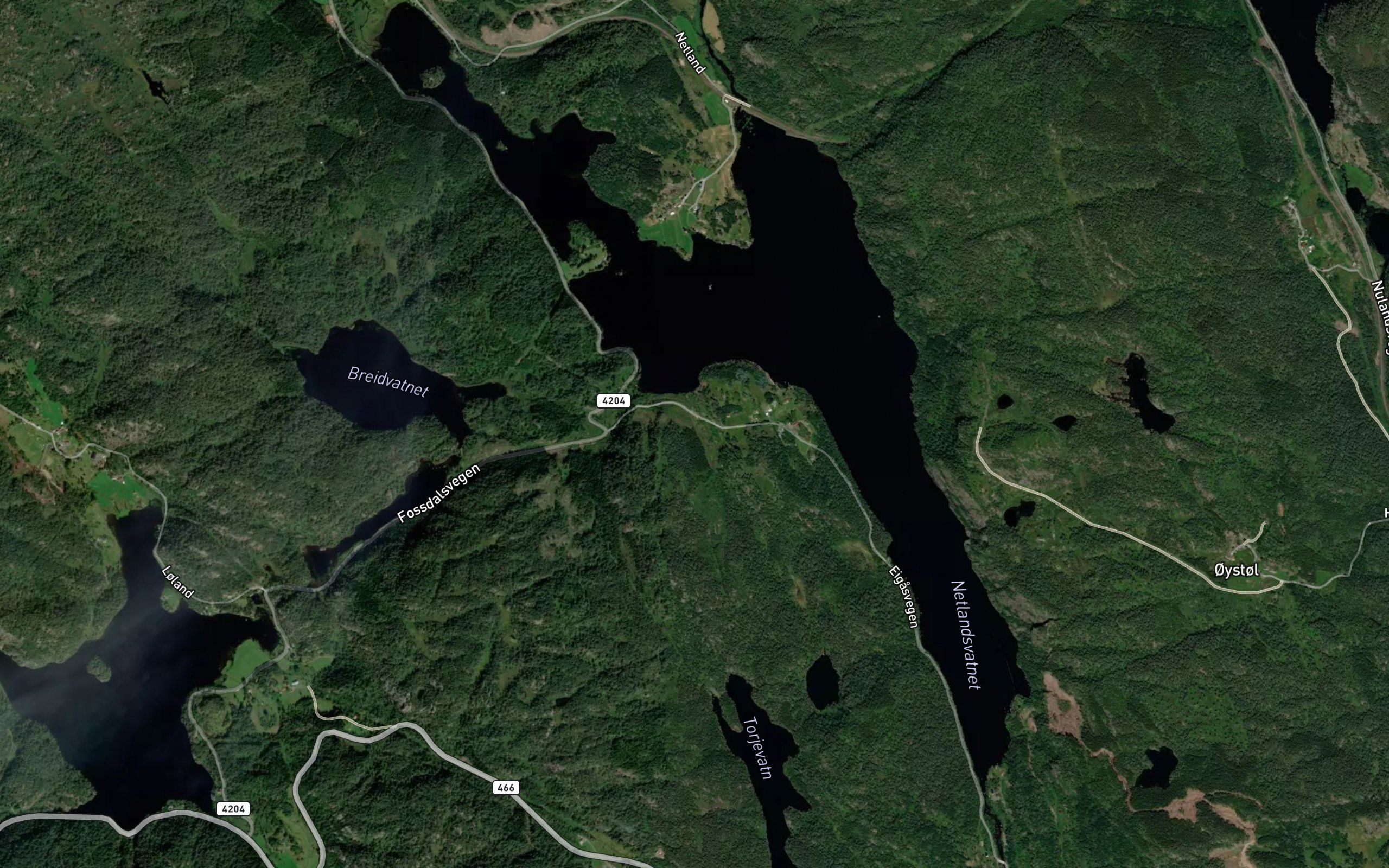 Netlandsvatnet
