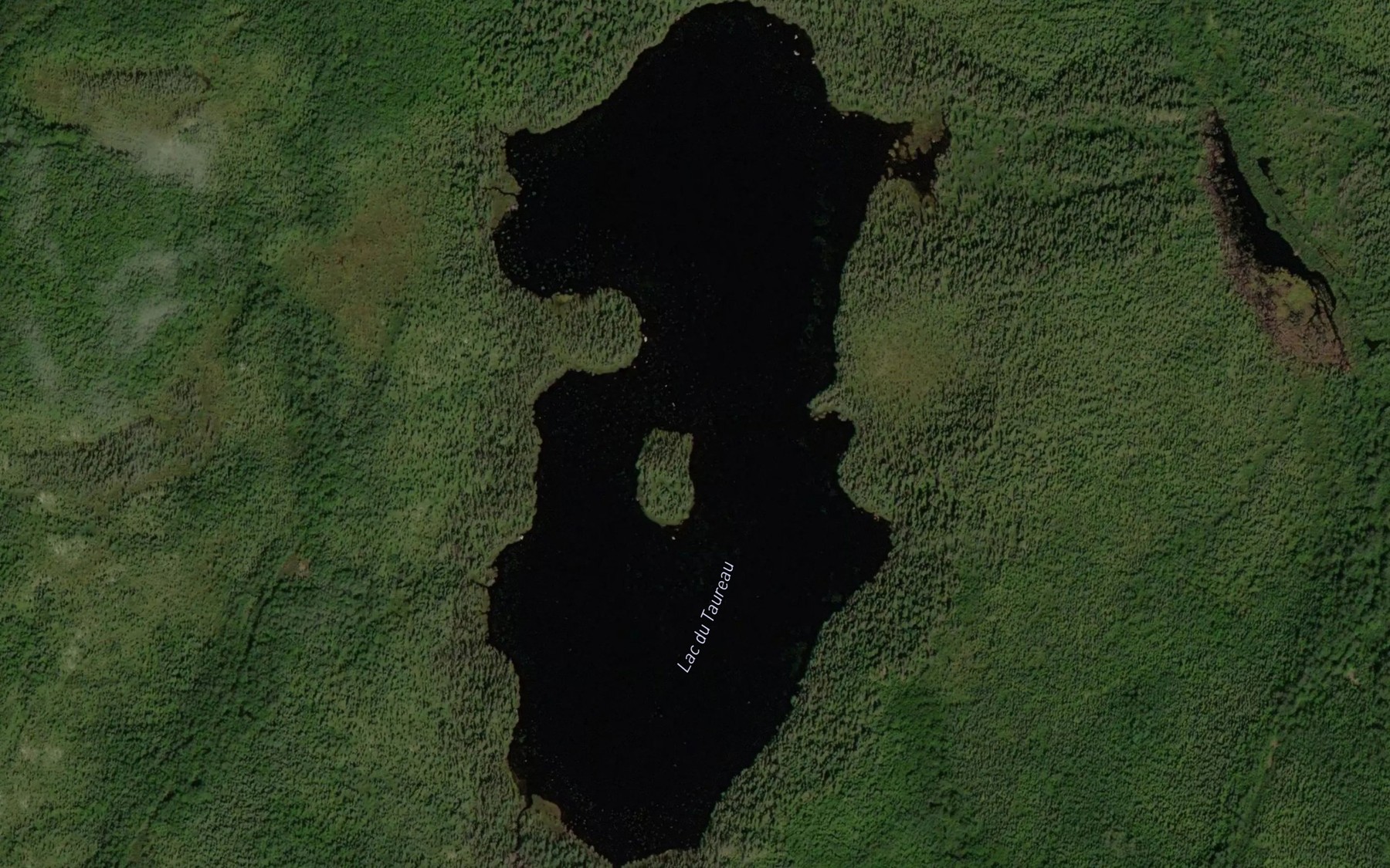Satellite map of the Lac du Taureau