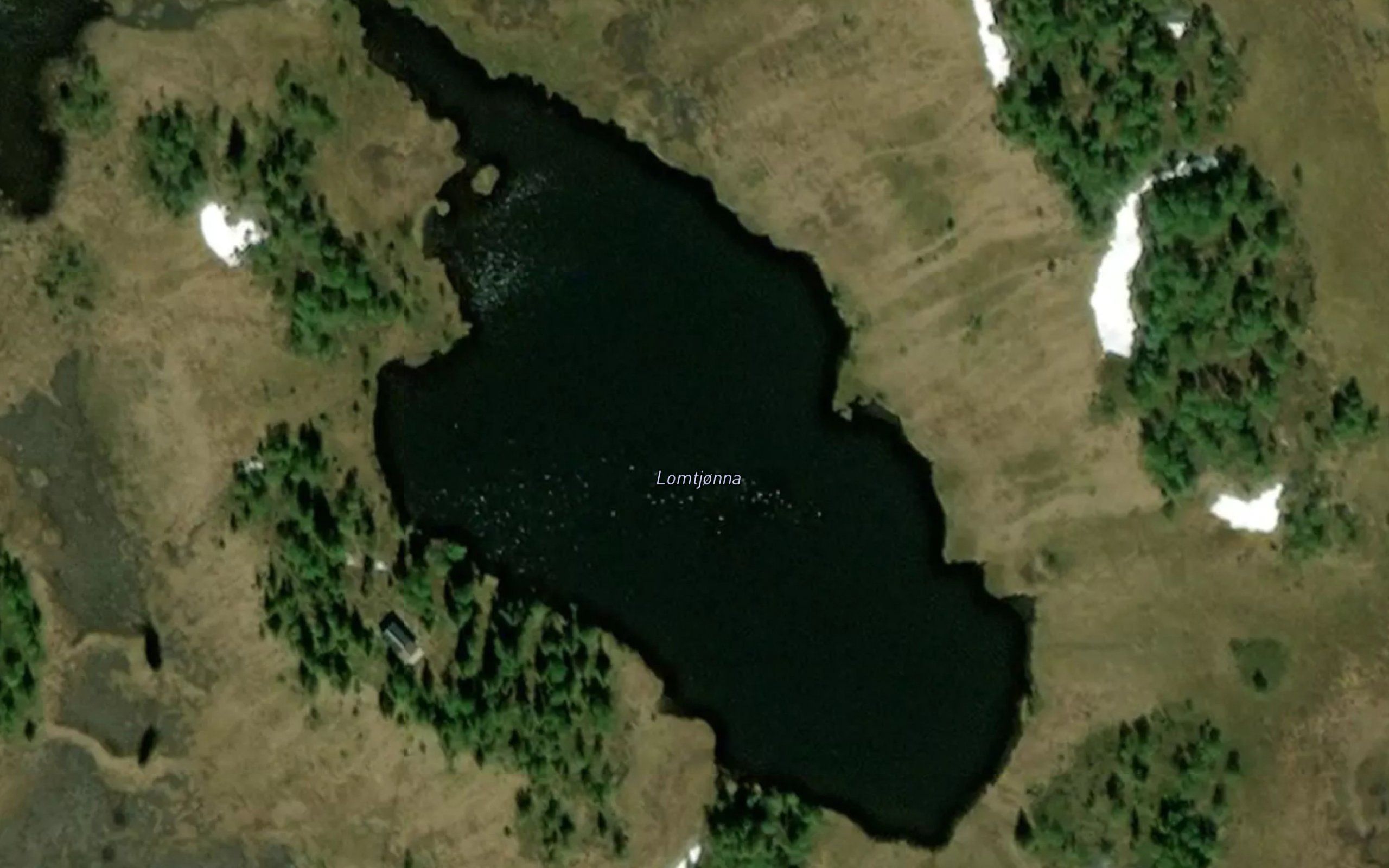 Lomstjorna