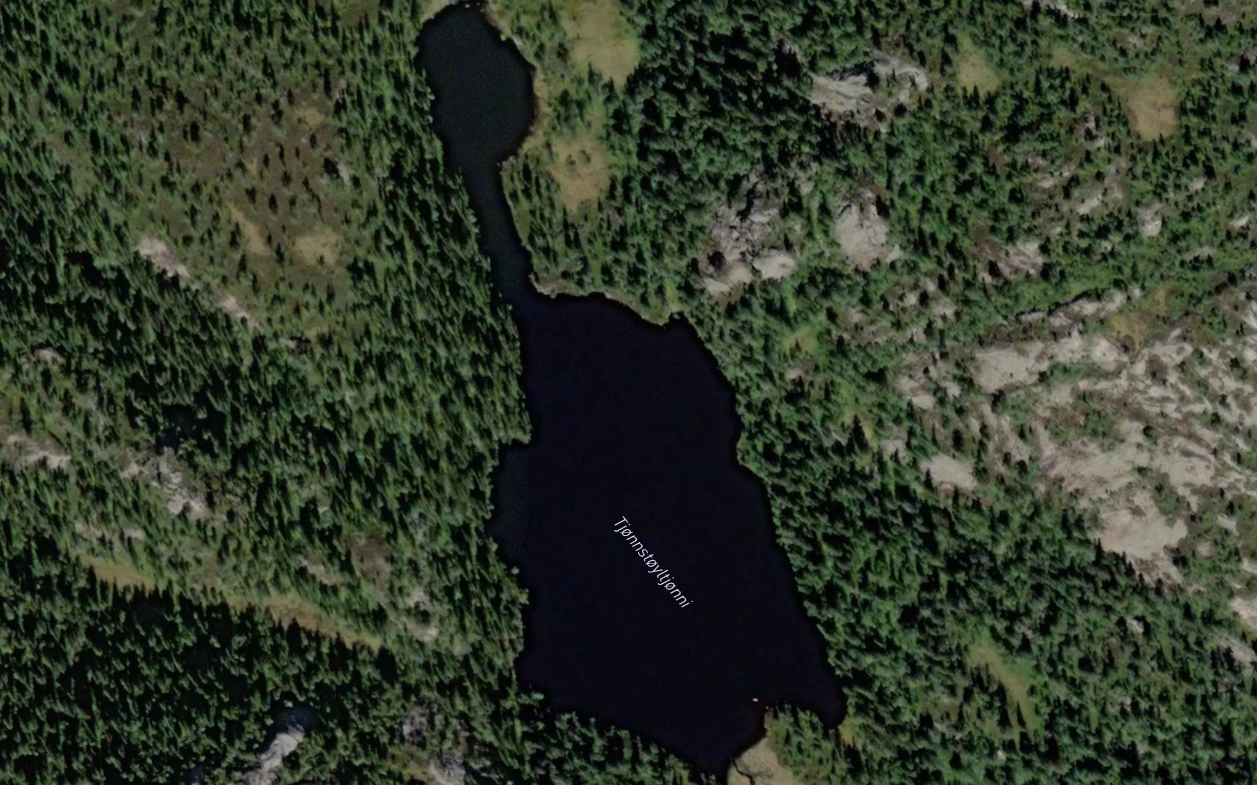 Tjornstoyltjorni