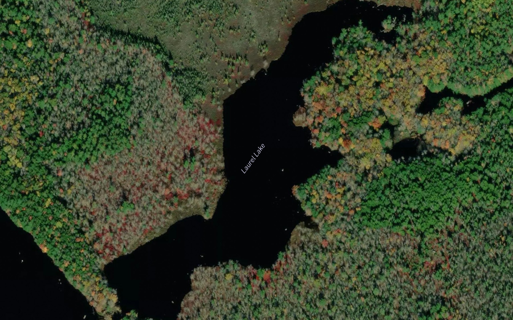 Satellite map of the Laurel Lake