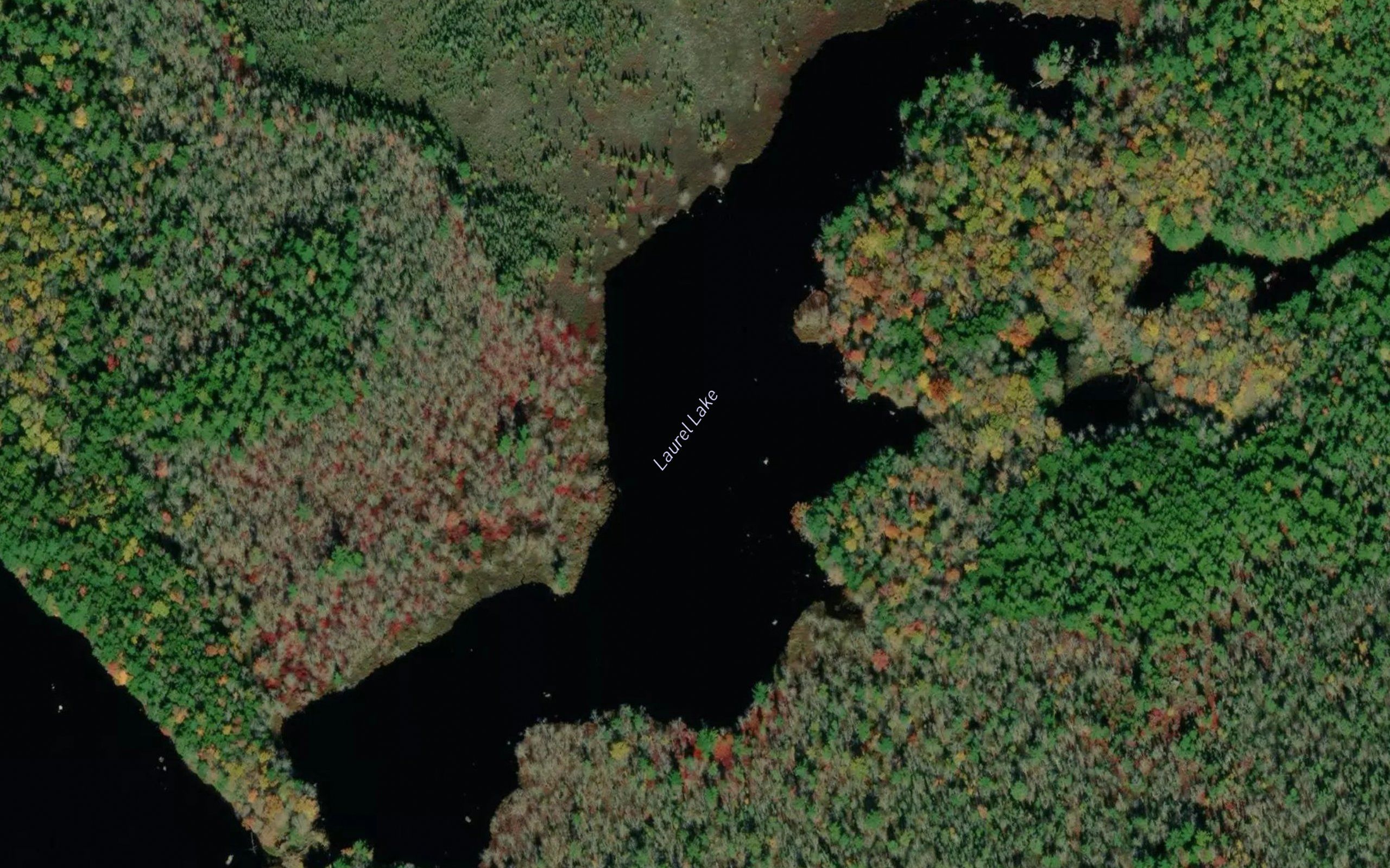 Laurel Lake