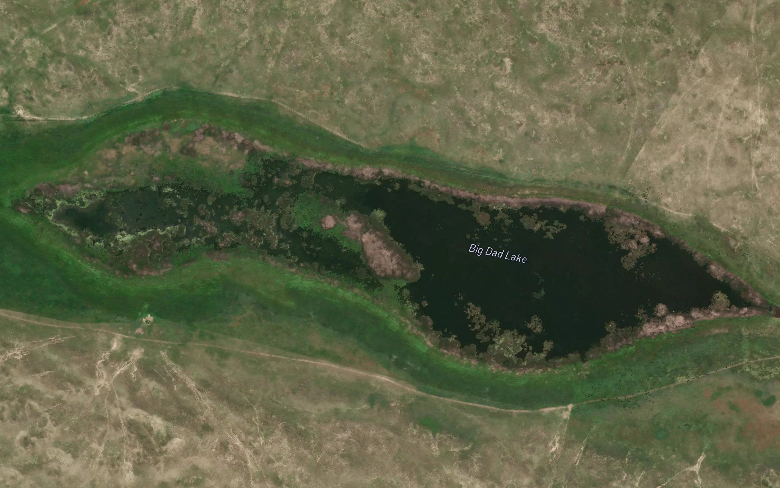 Big Dad Lake