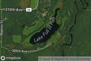 Lake Full of Fish