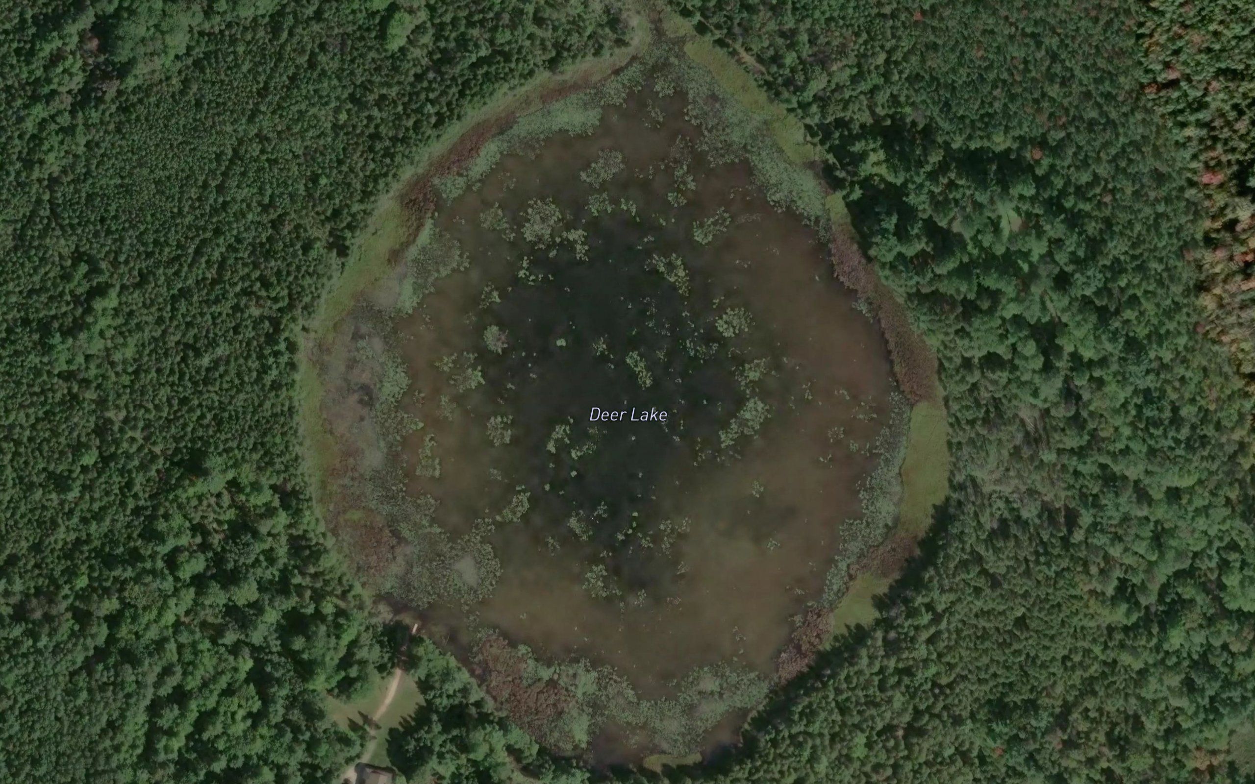 Deer Lake