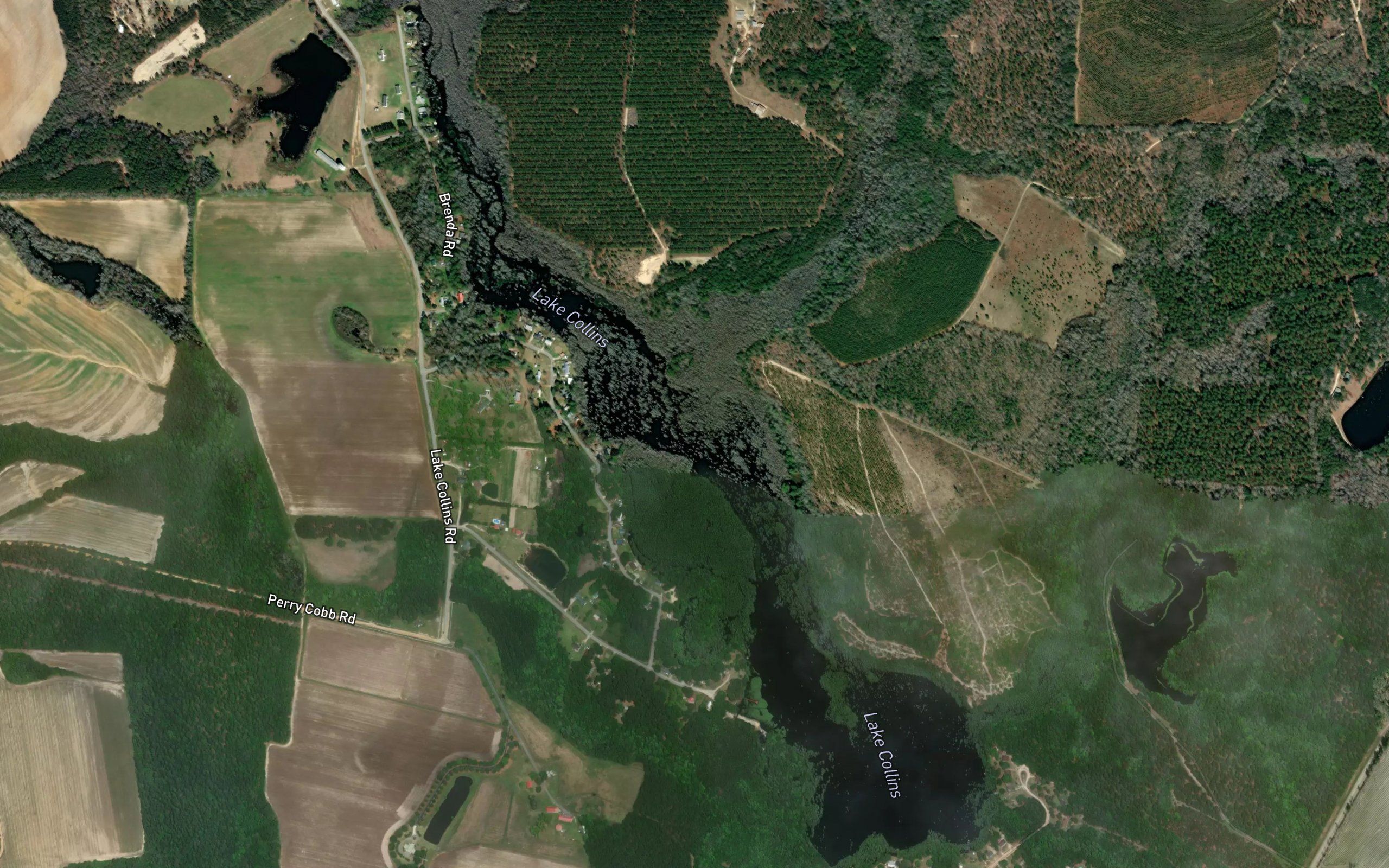 Lake Collins