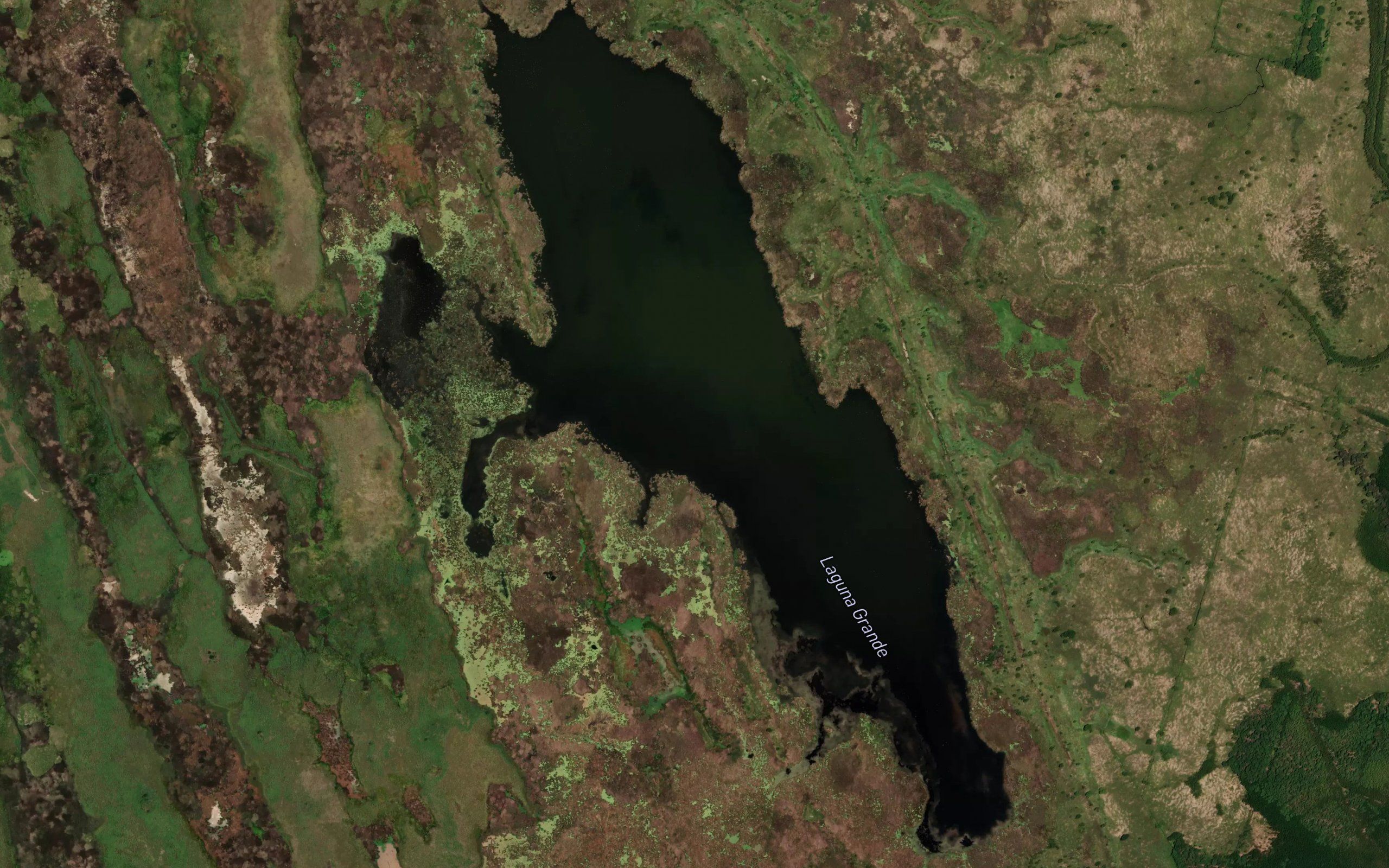 Laguna Grande