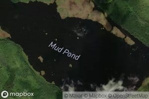 Mud Pond