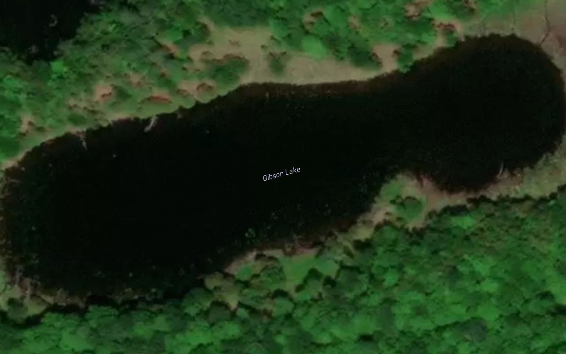 Satellite map of the Gibson Lake