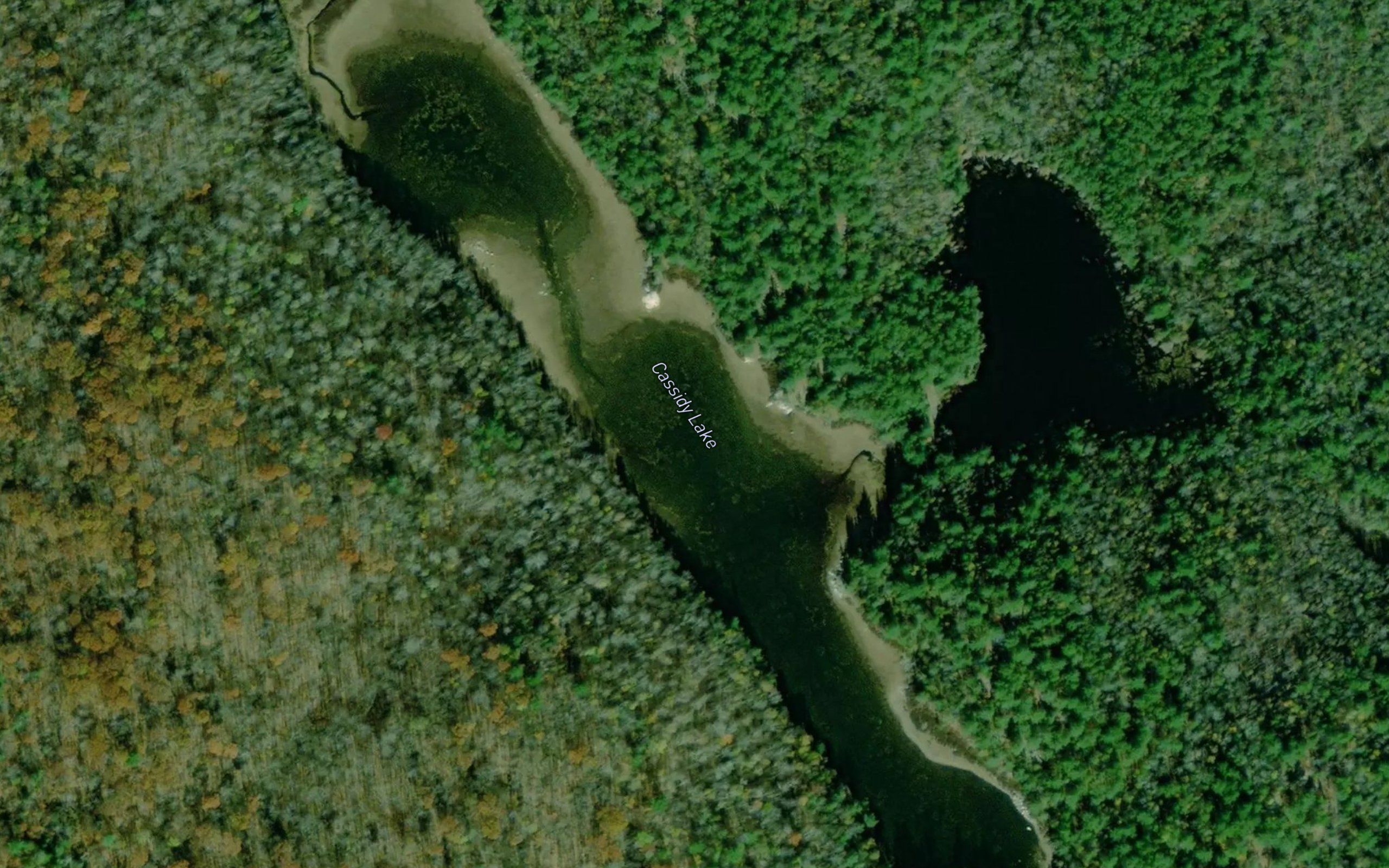 Cassidy Lake