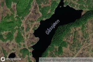 Gassjoen