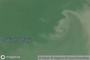 Swan Bay