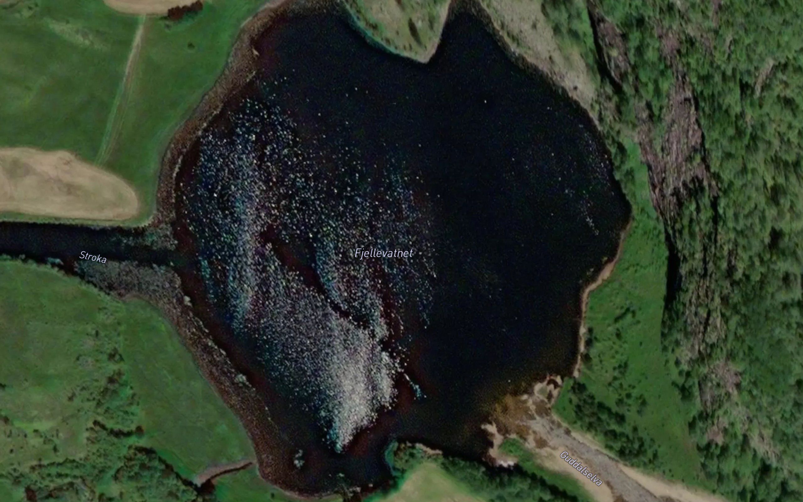 Fjellevatnet