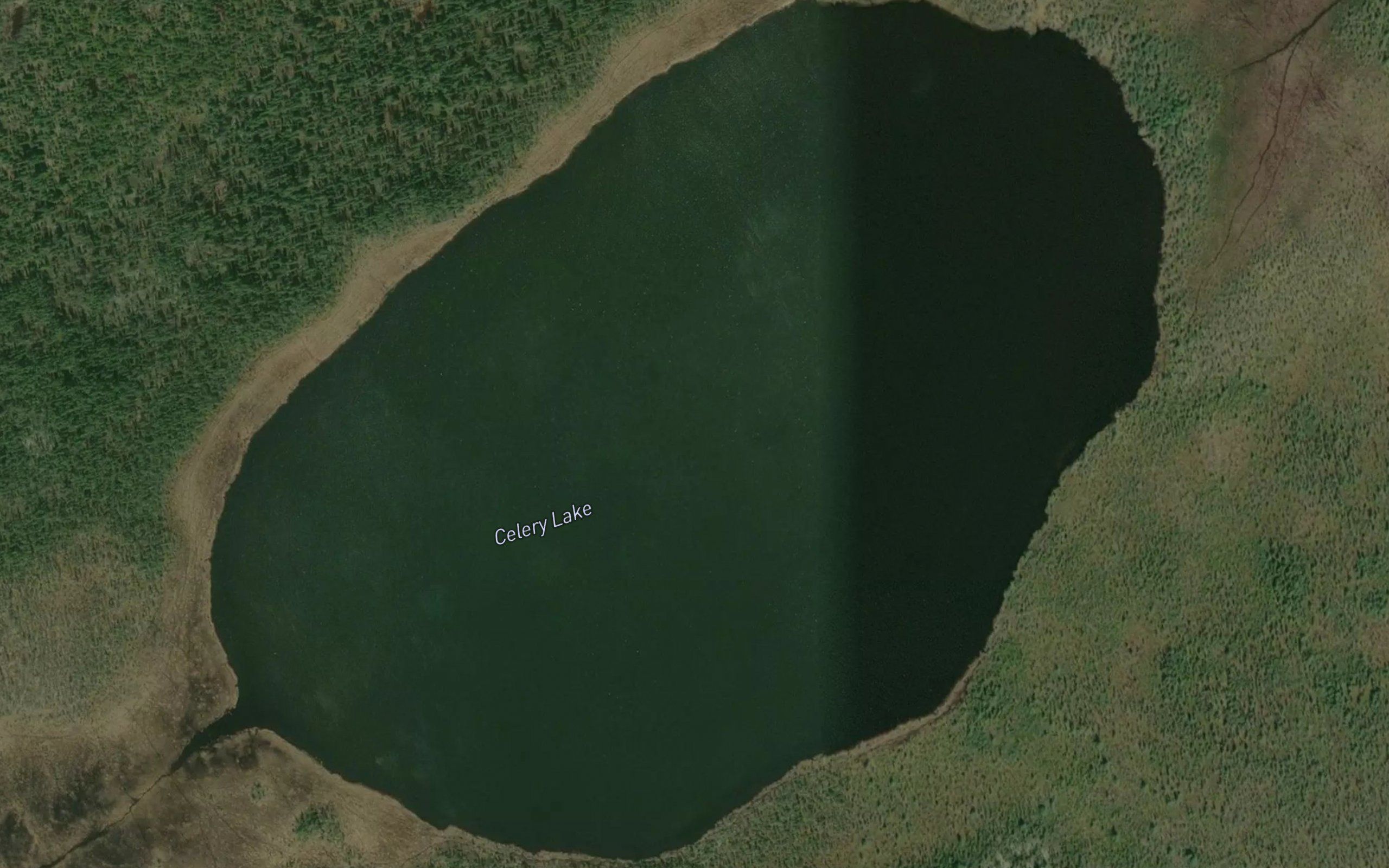 Celery Lake