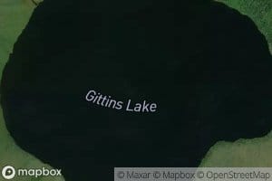 Gittins Lake