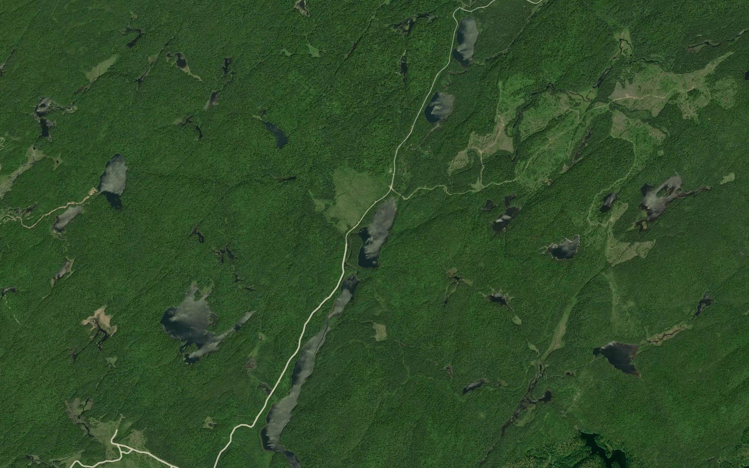 Lyre Lake