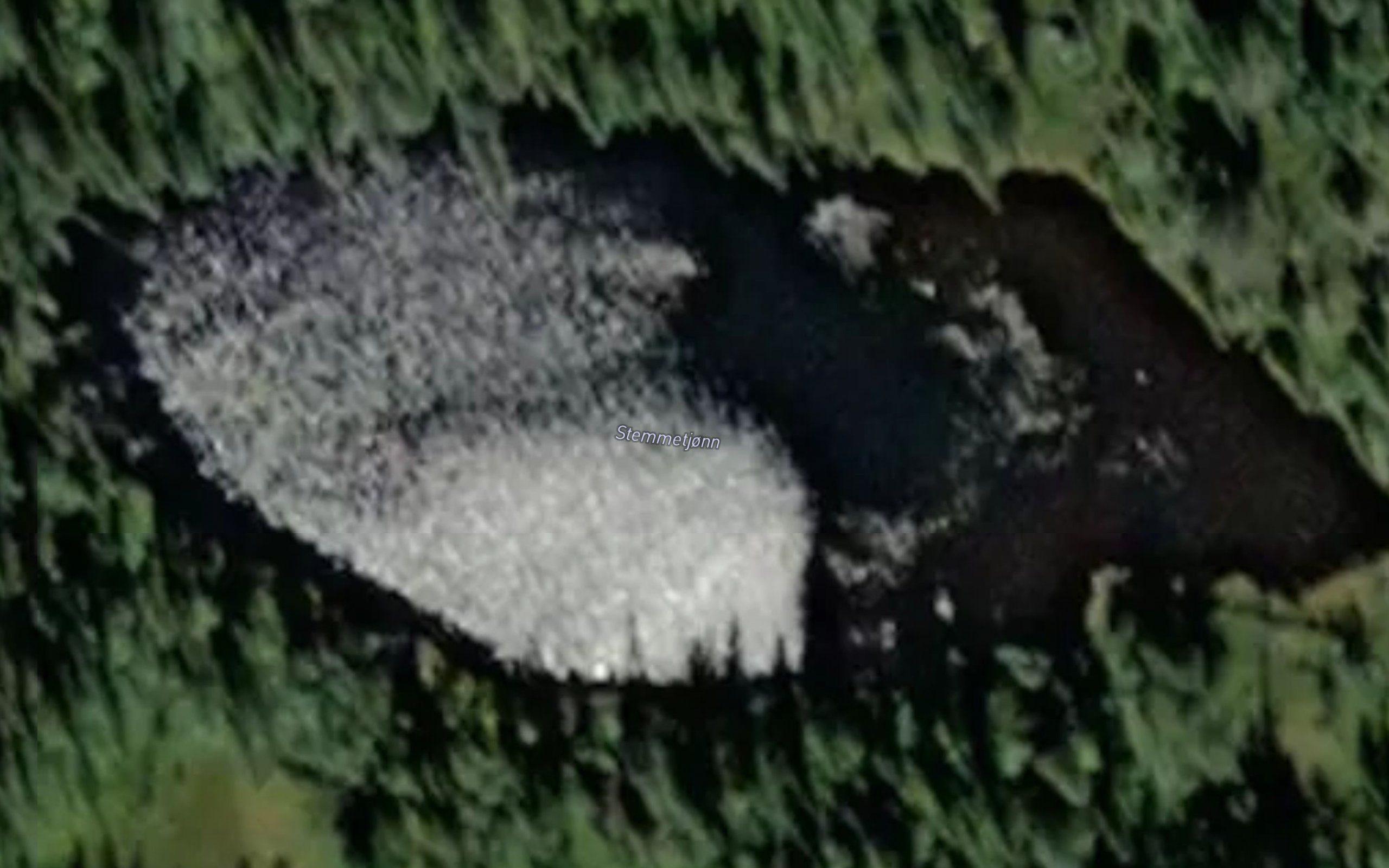 Stemmetjonn
