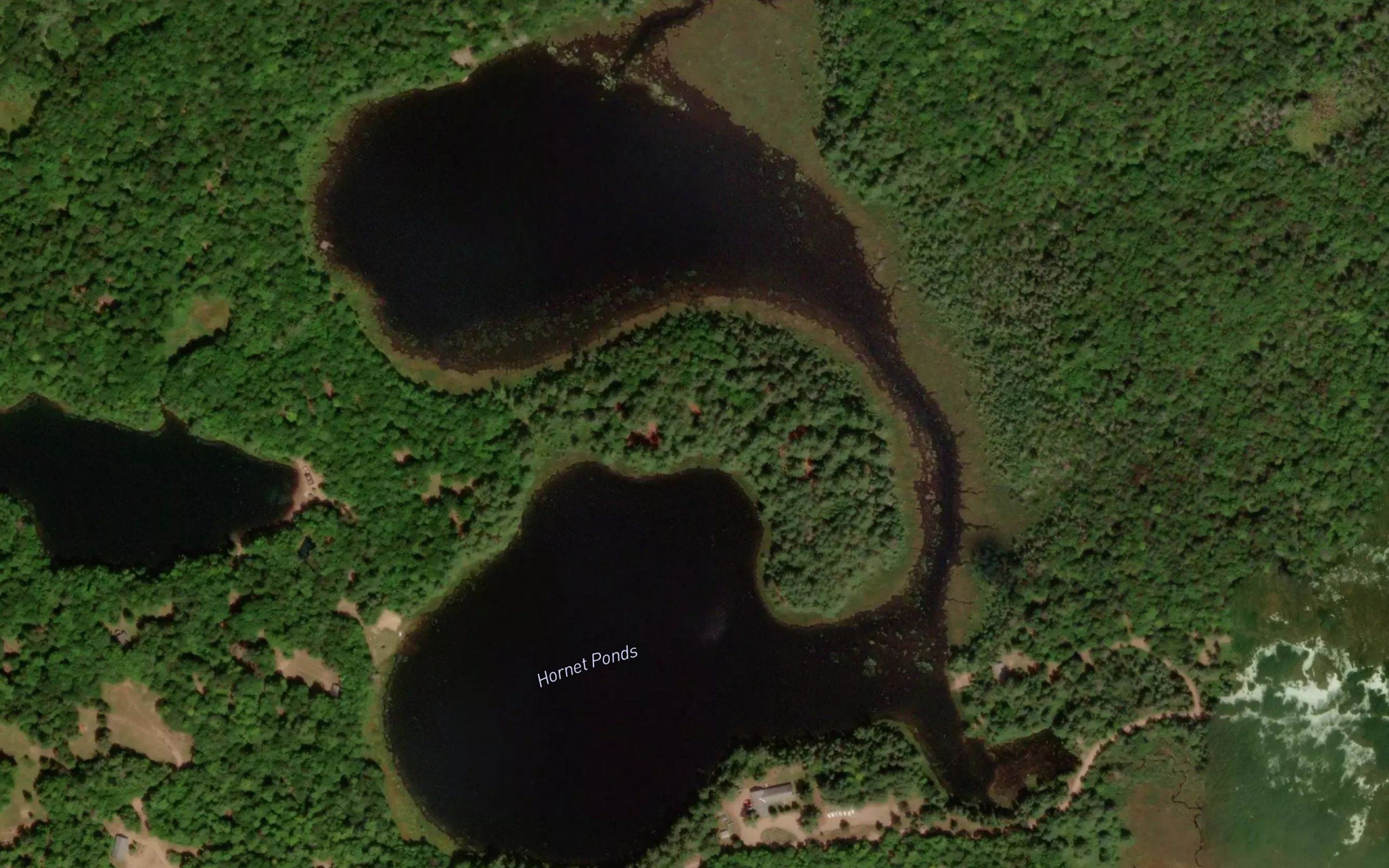 Hornet Ponds