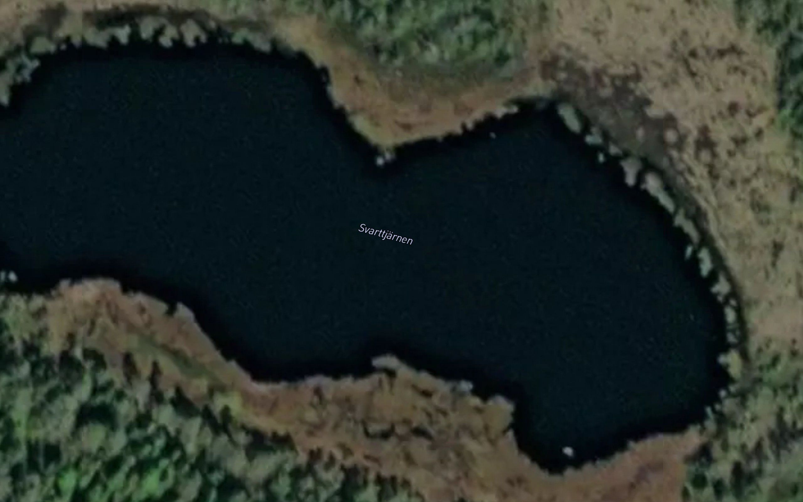 Svarttjaernen