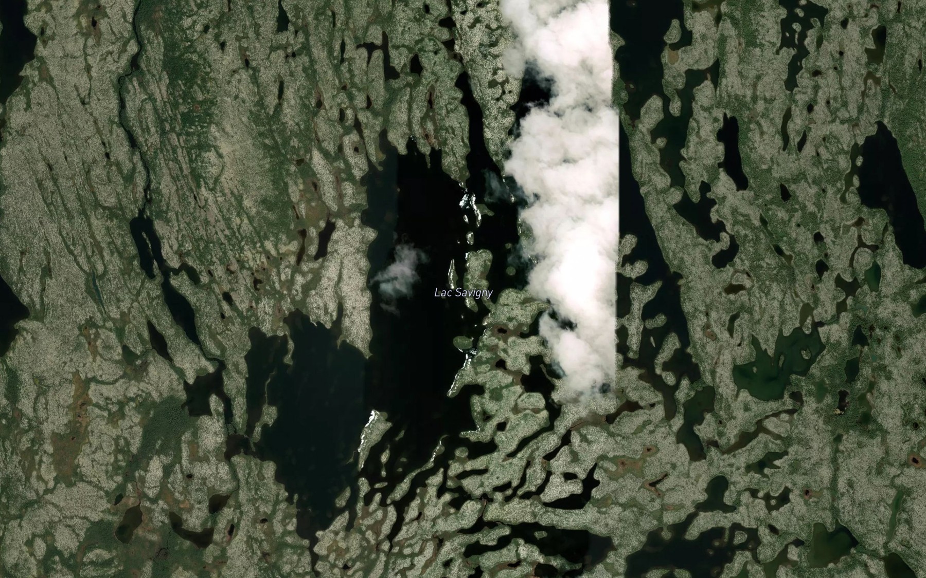 Satellite map of the Lac Savigny