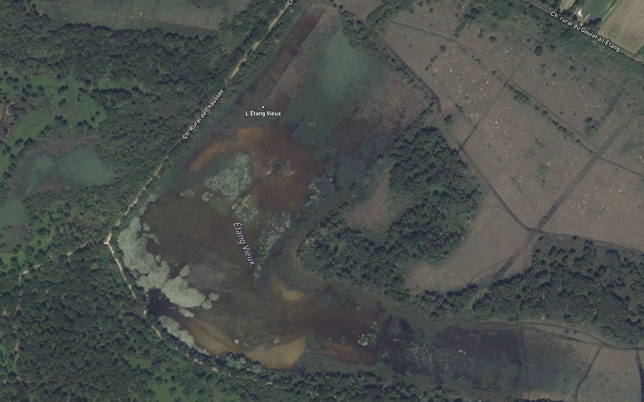 Etang Vieux