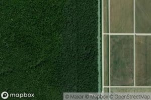 Ditch Number 5
