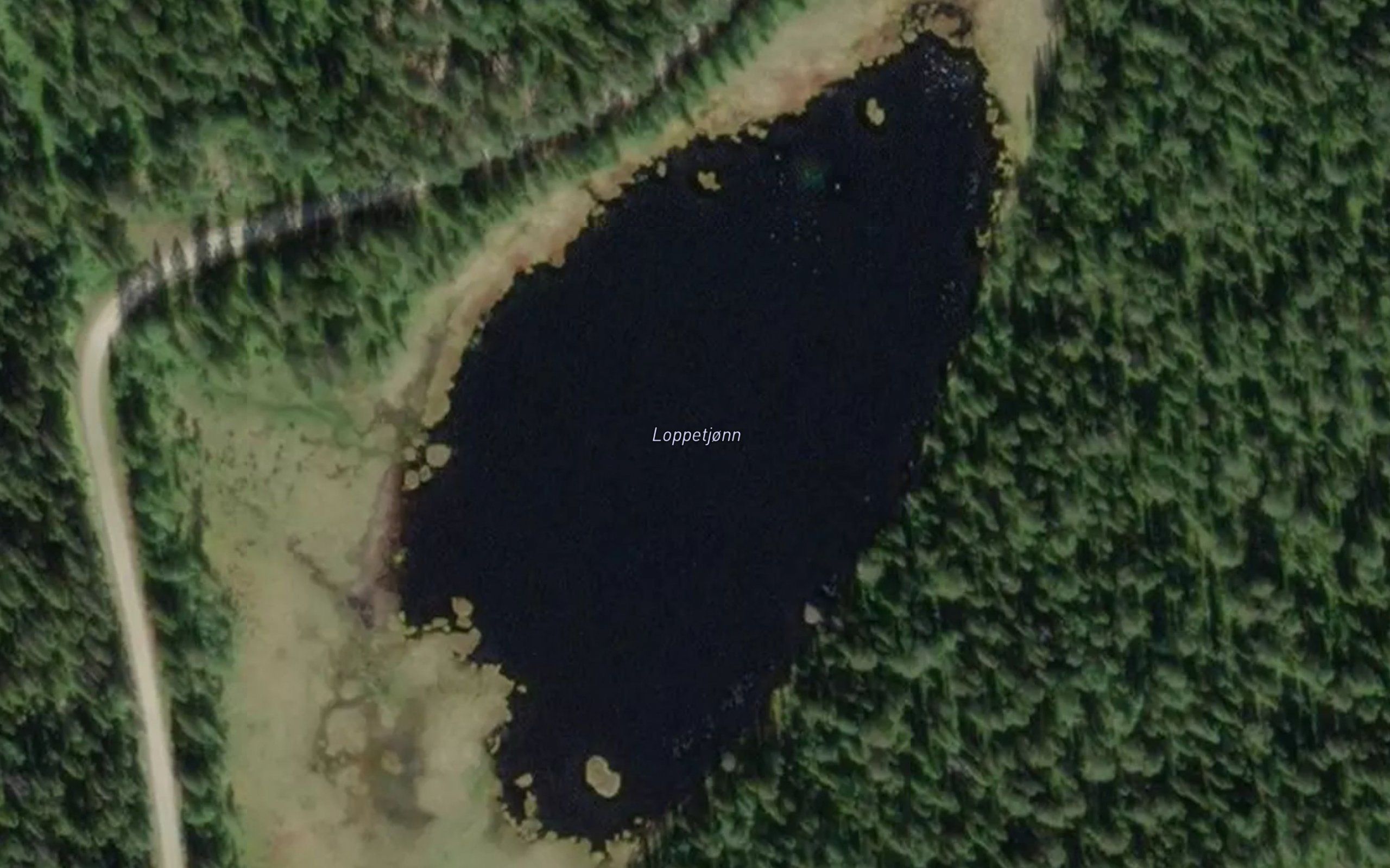 Loppetjorni