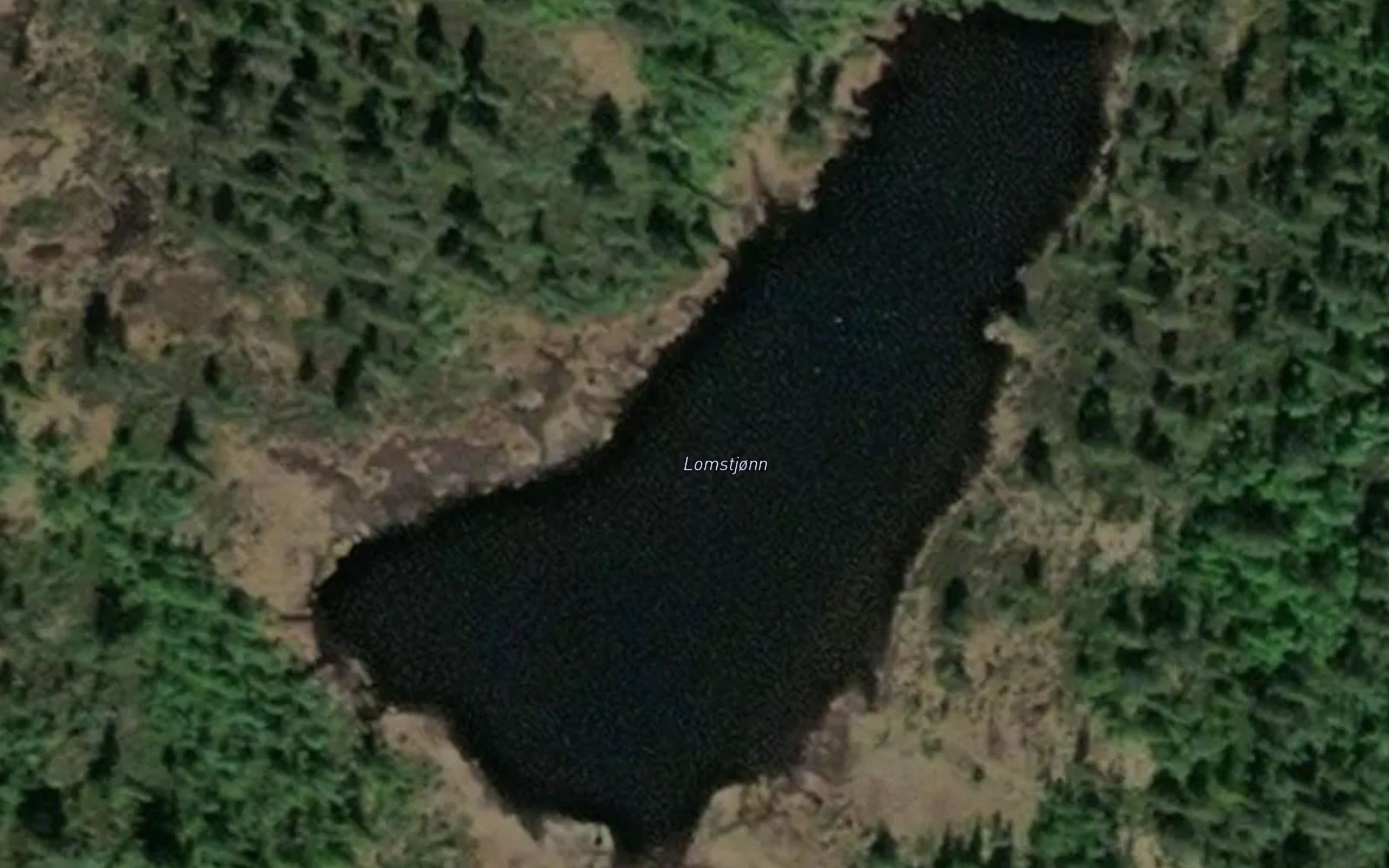 Lomstjonn