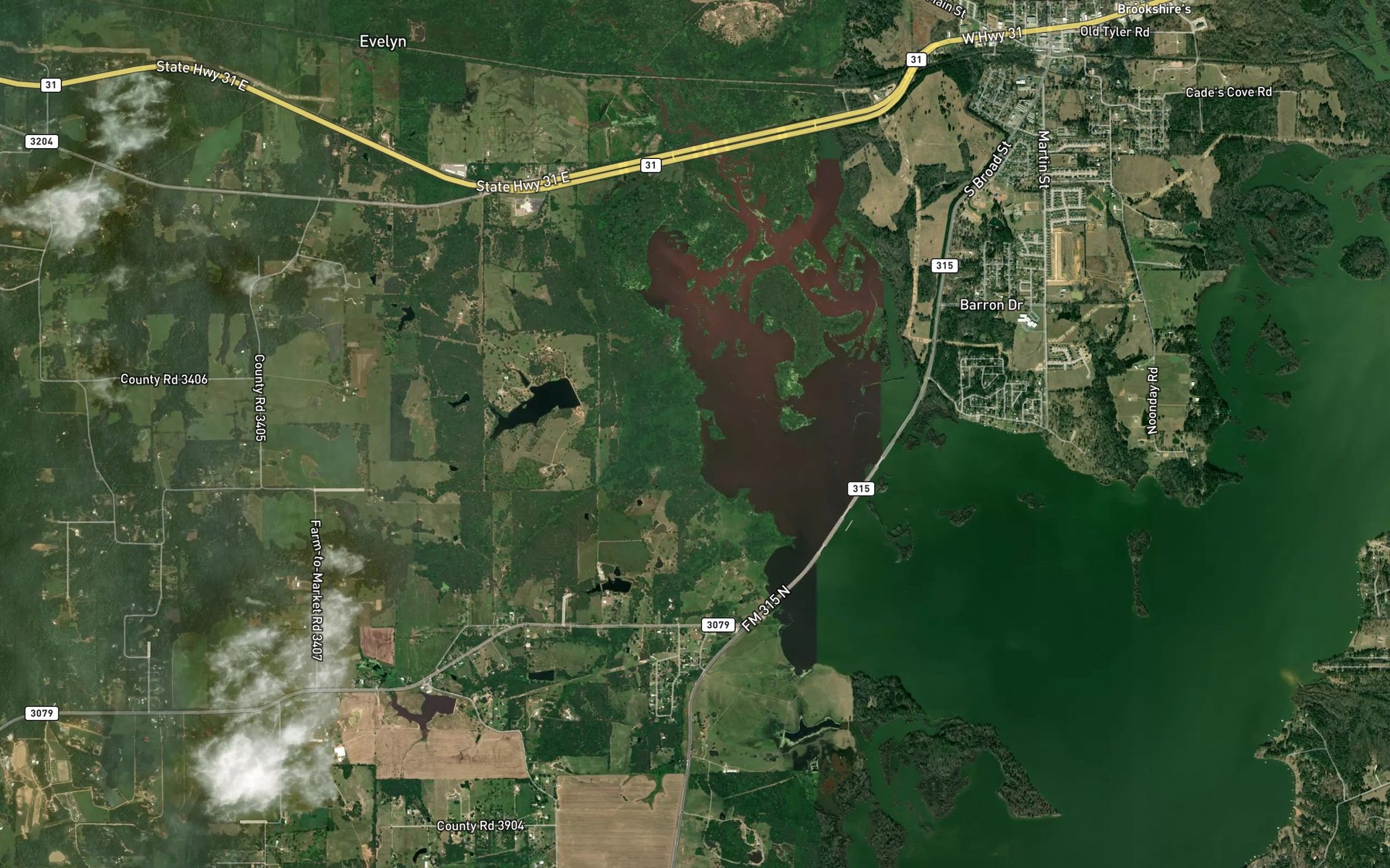 Satellite map of the Cottonwood Creek
