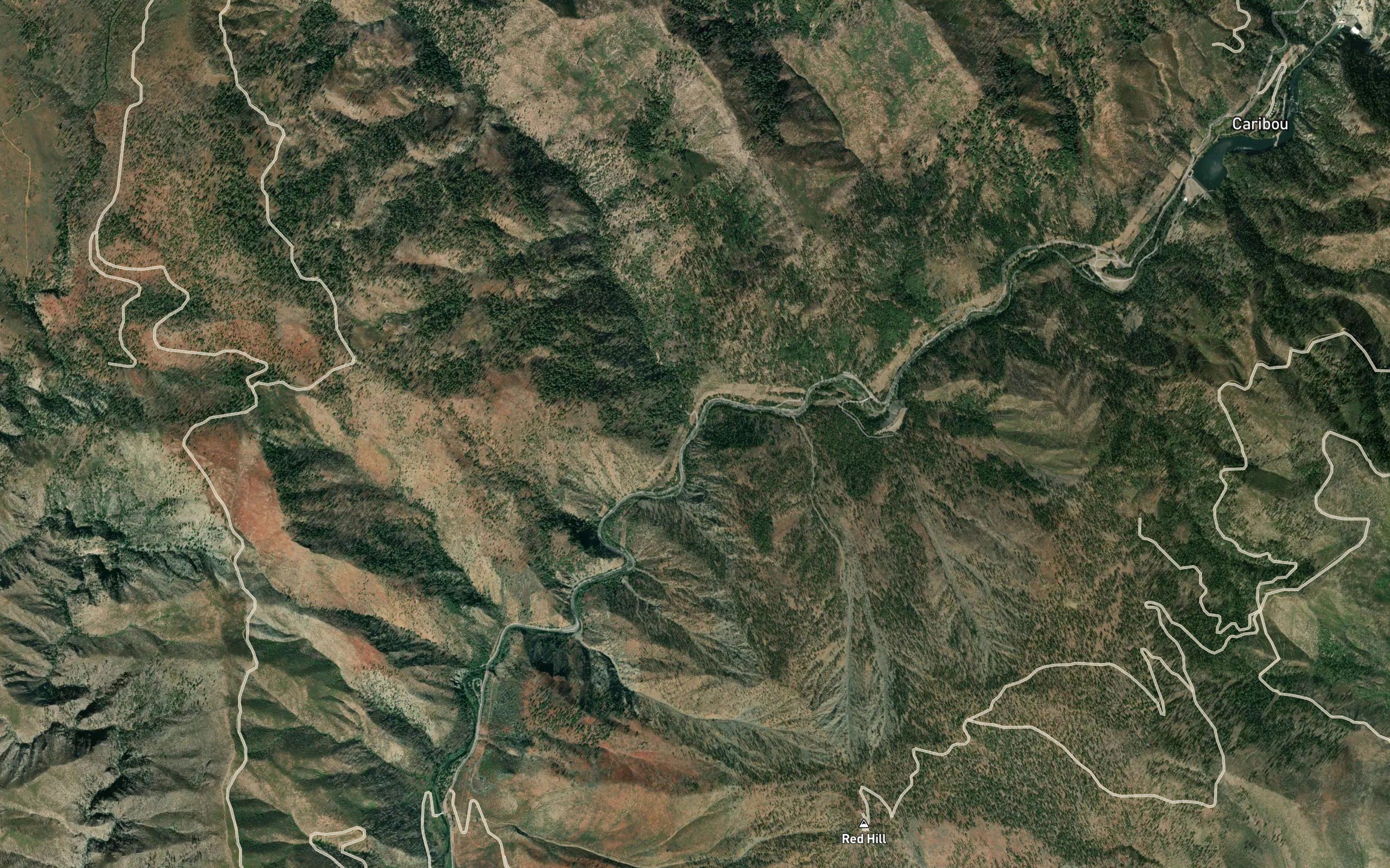 Mosquito Creek