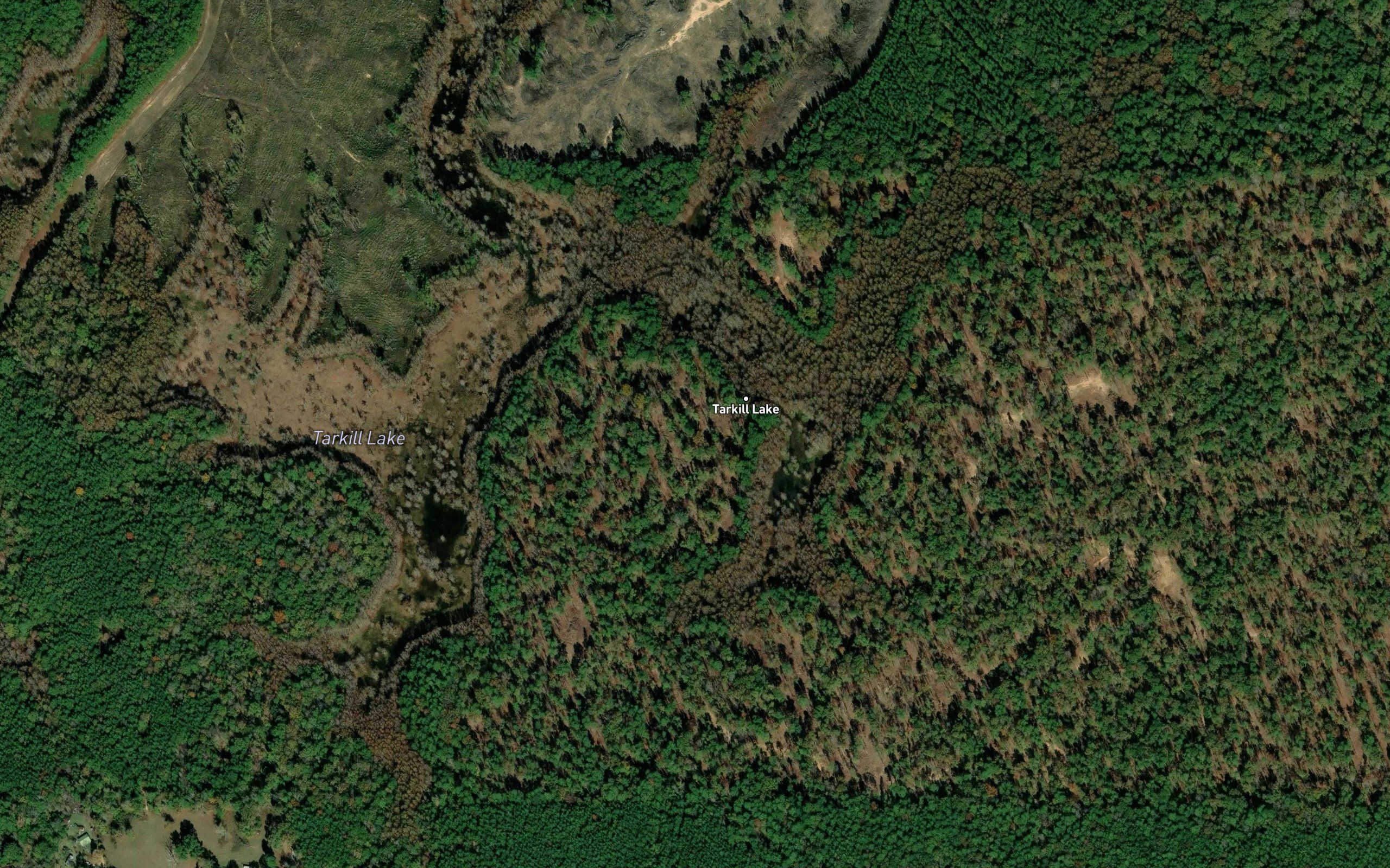 Tarkill Lake