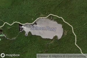 Salmon Pond