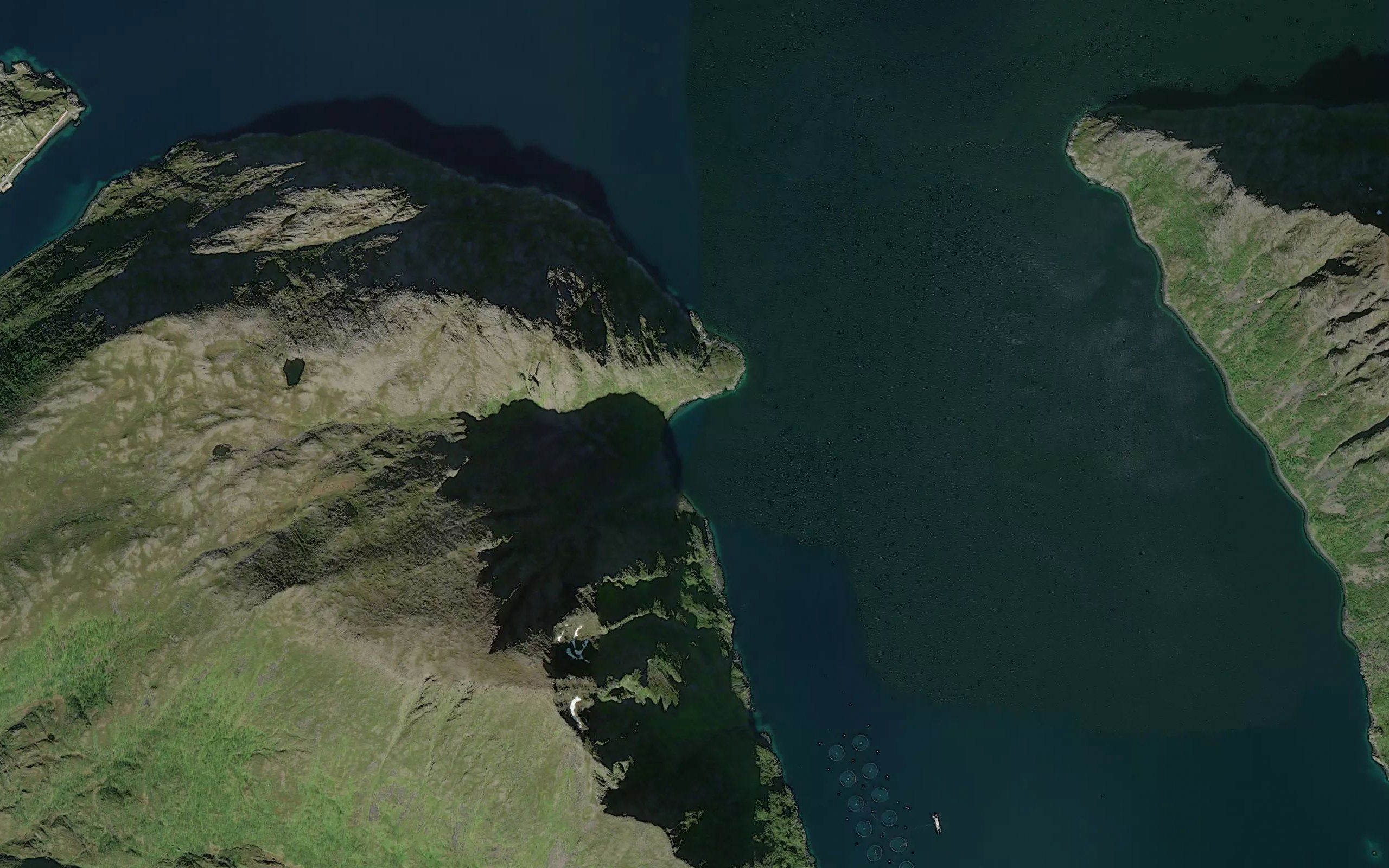 Kobbebukta