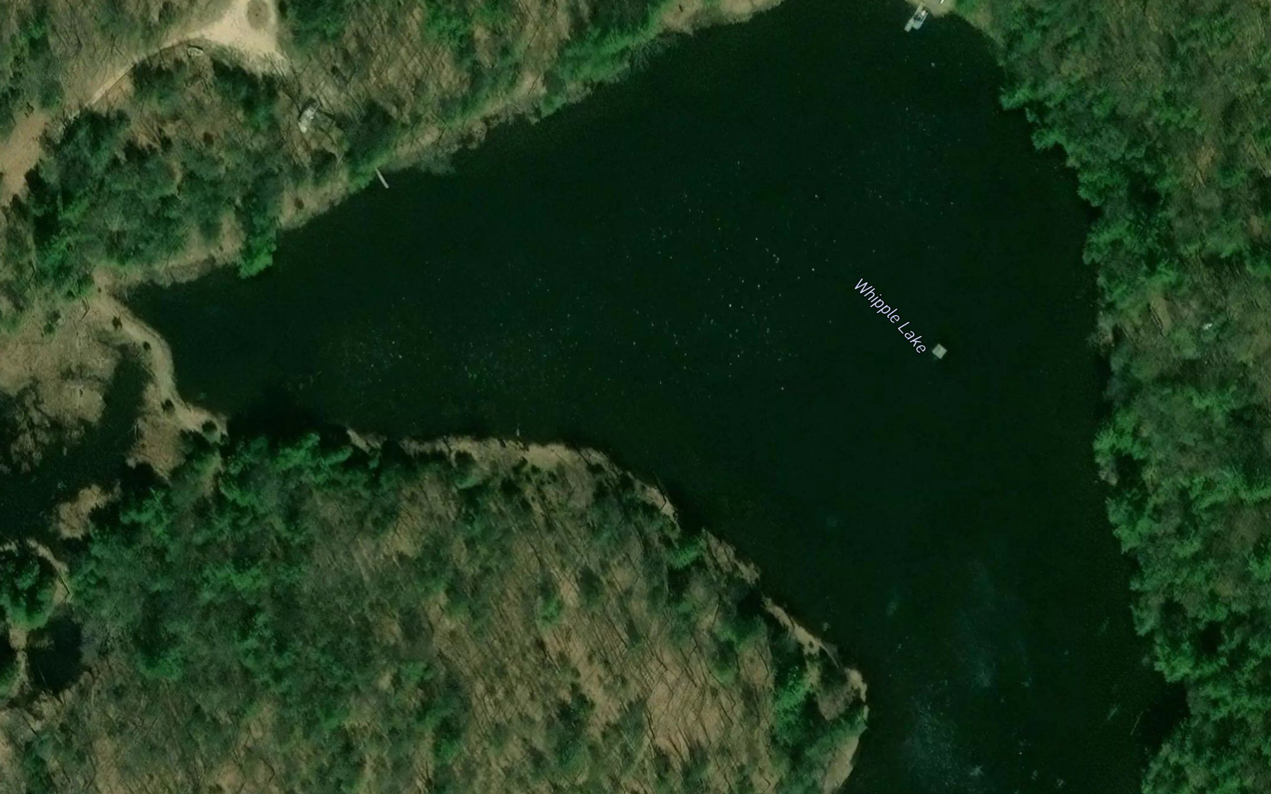 Whipple Lake