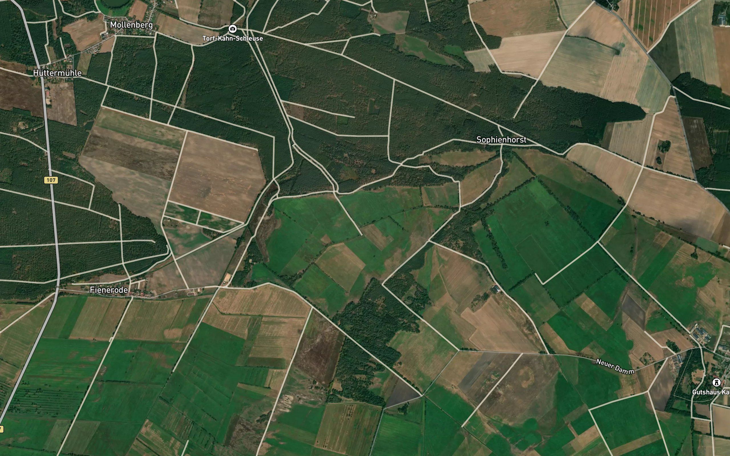 Steinbach