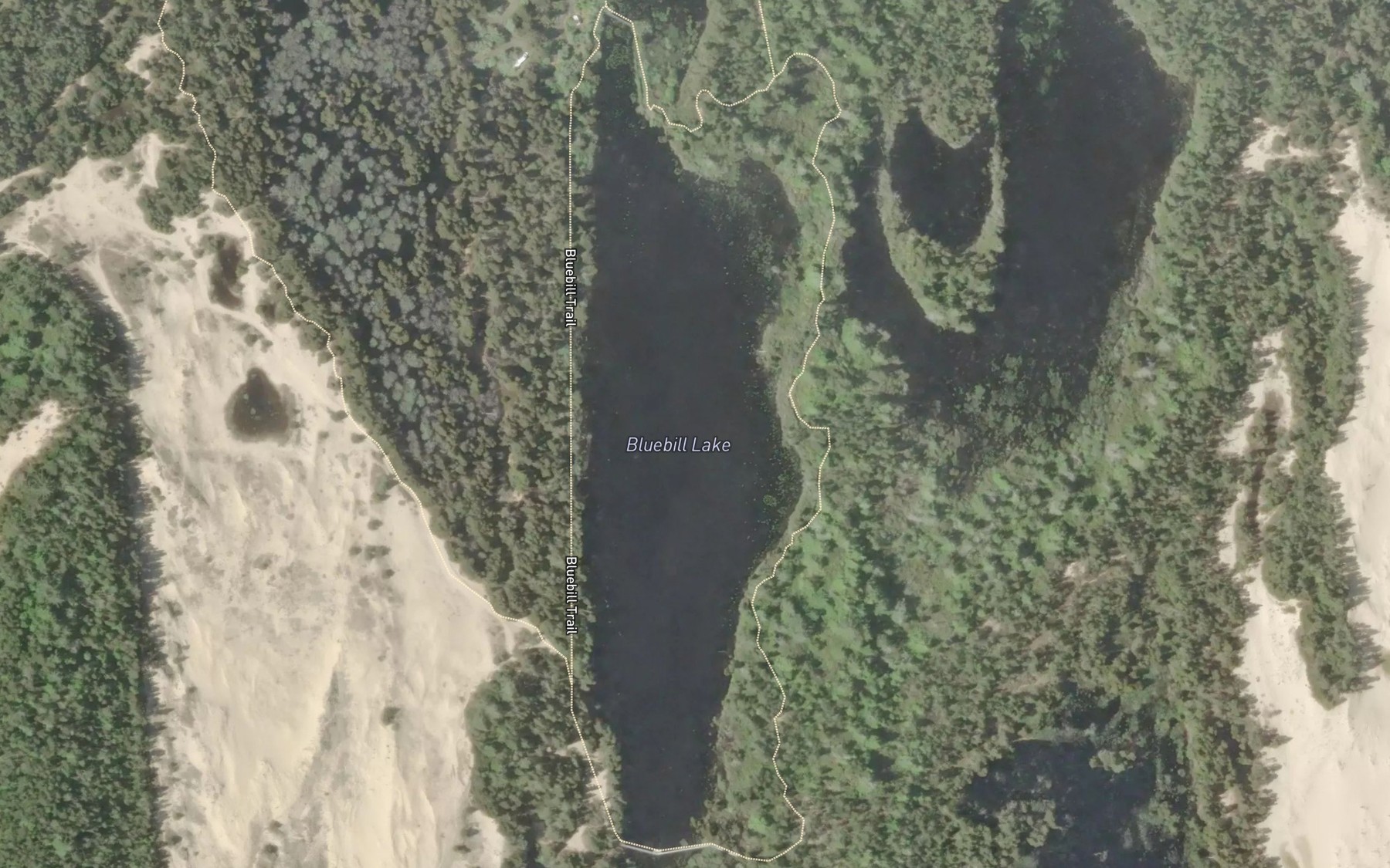 Satellite map of the Bluebill Lake
