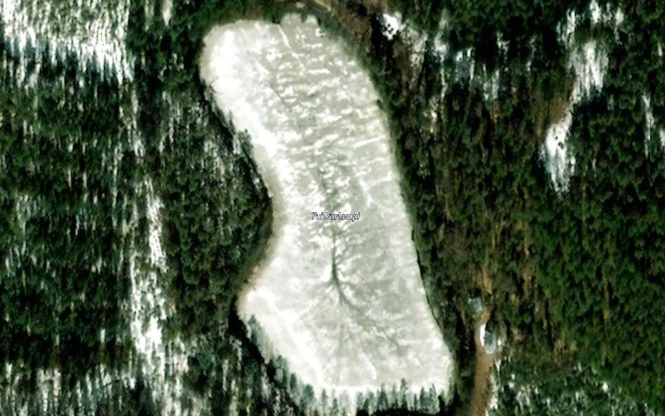Tuhkurlampi