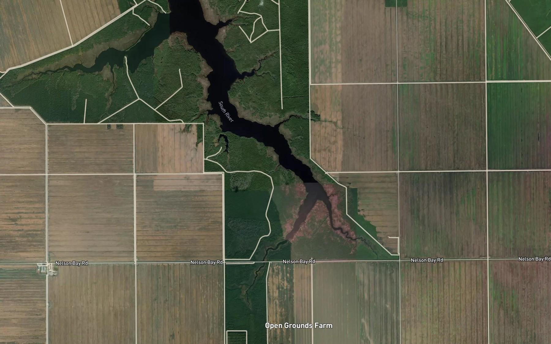 Satellite map of the Miry Gut