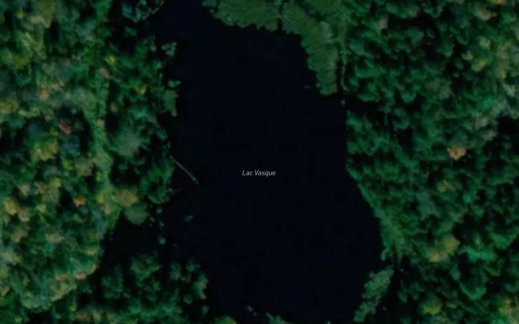 Satellite map of the Lac Vasque
