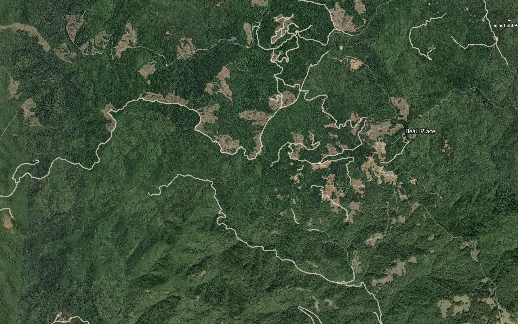 Satellite map of the Cox Creek
