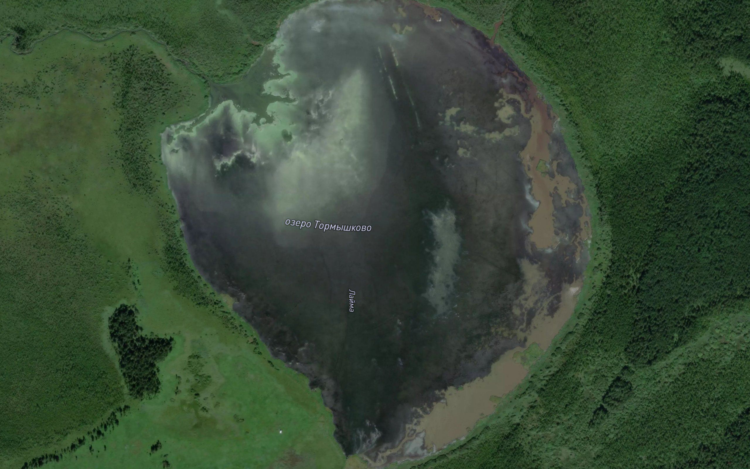 Ozero Tarmyshkovo