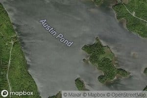 Austin Pond