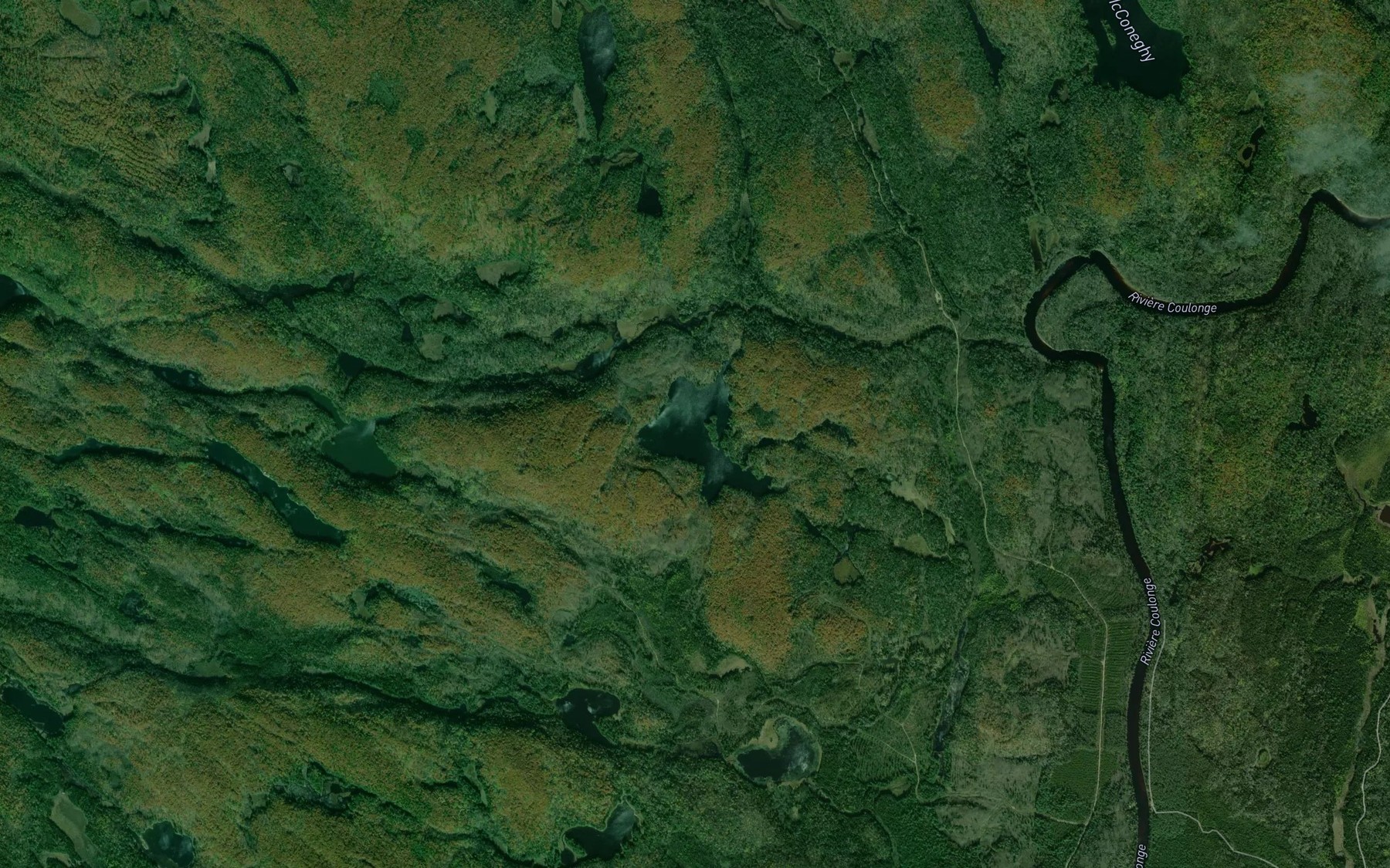 Satellite map of the Lac Bromley