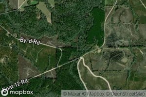 West Fork Bradley Branch